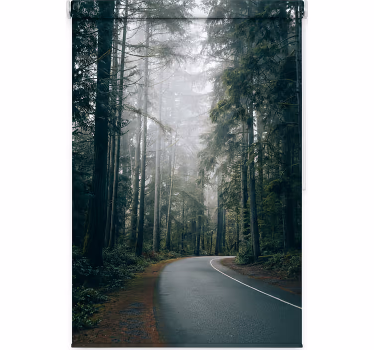 Foggy pine road gred rolo senčilo - TenStickers