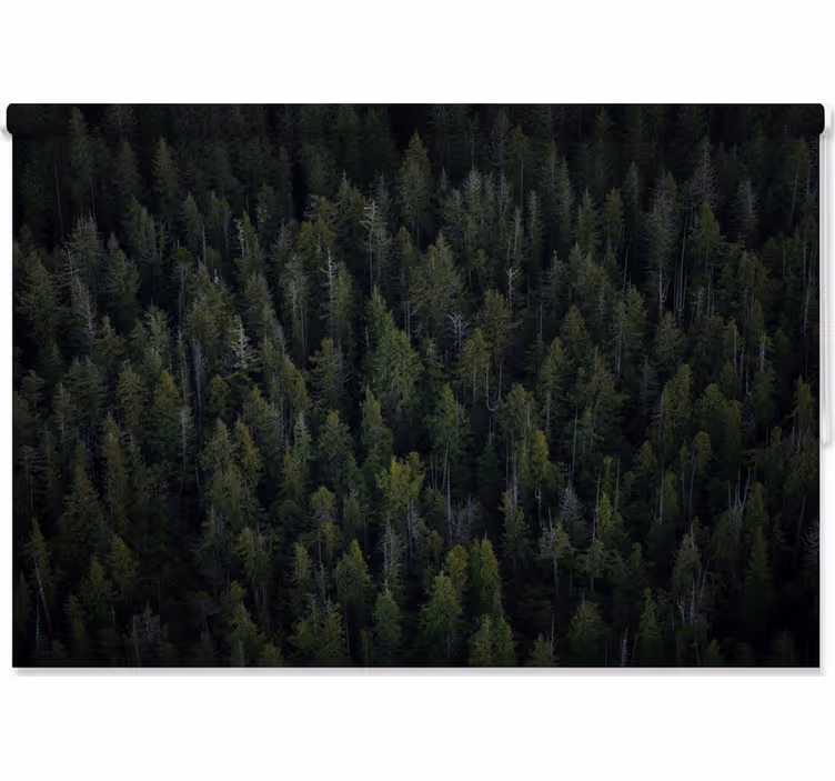 Deep woodland texture gred rolo senčilo - TenStickers