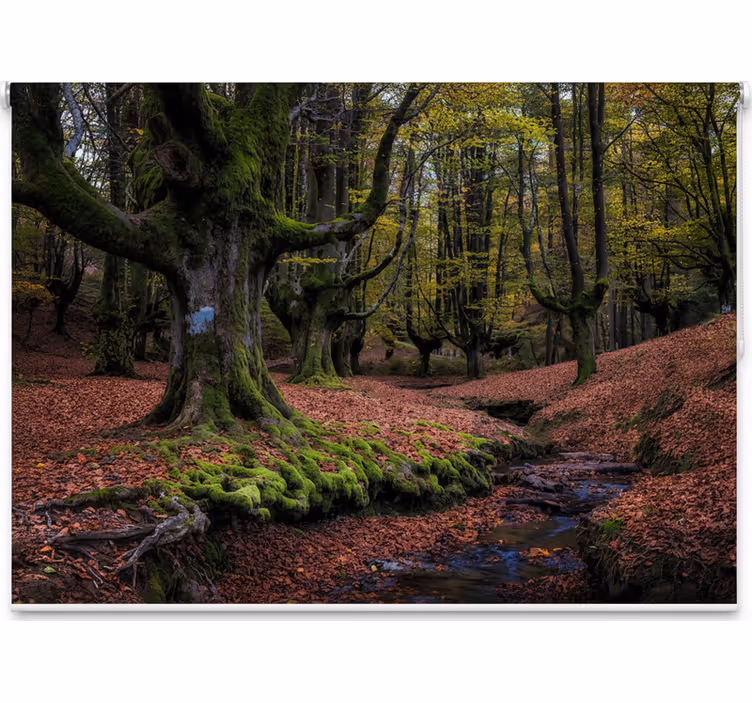 Enchanted autumn forest gred rolo senčilo - TenStickers