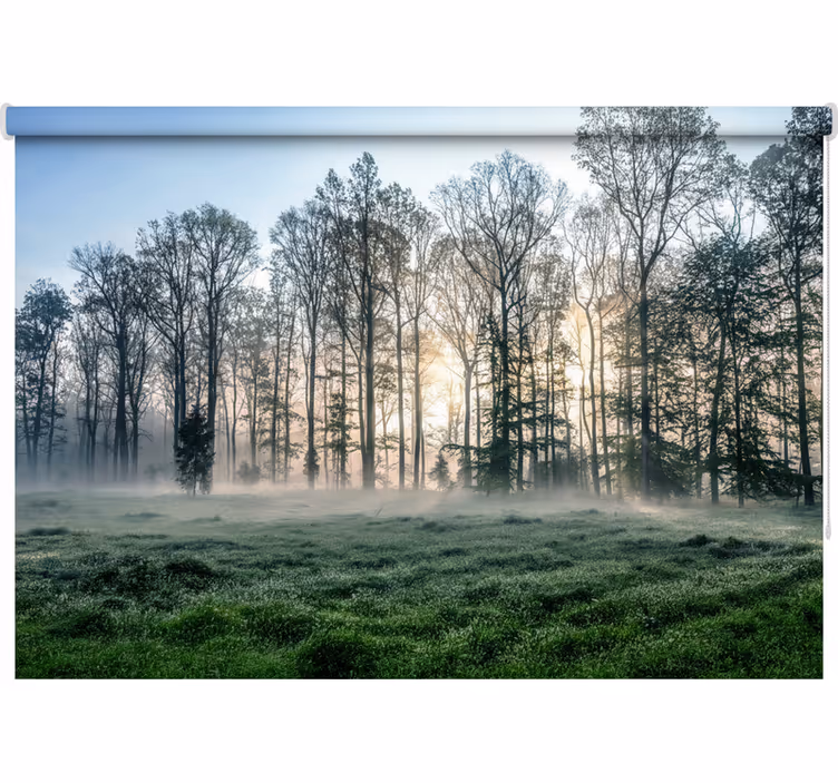 Misty morning meadow gred rolo senčilo - TenStickers