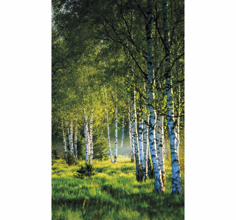 Birch grove modern gred rolo senčilo - TenStickers