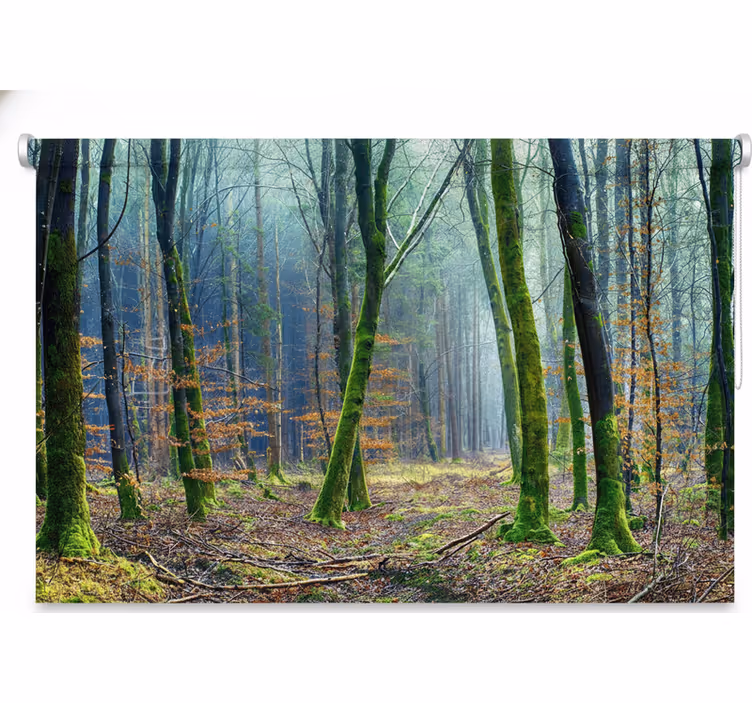 Foggy forest japandi gred rolo senčilo - TenStickers