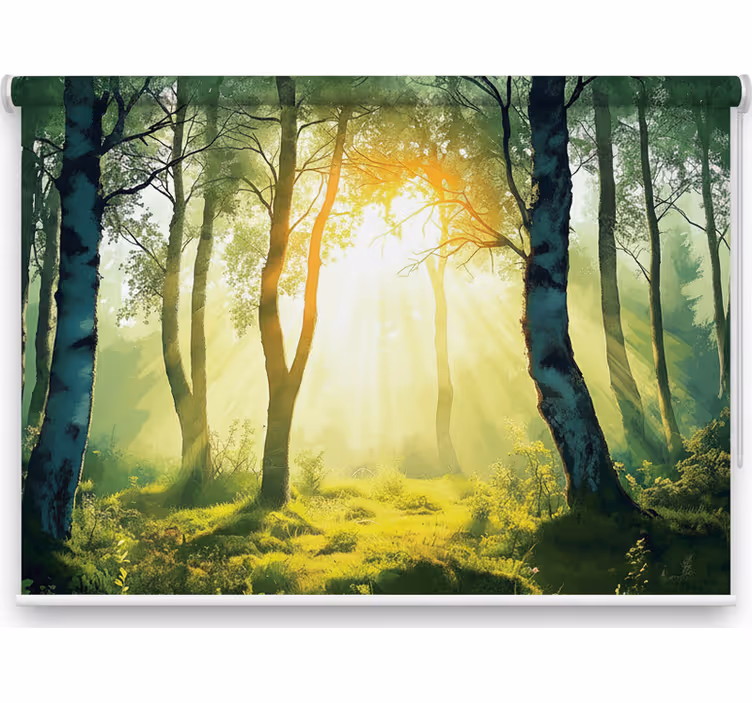 Sun-drenched birch mural in rolo senčilo - TenStickers