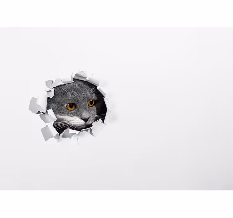Bela rolo zavesa ljubka mačka - TenStickers