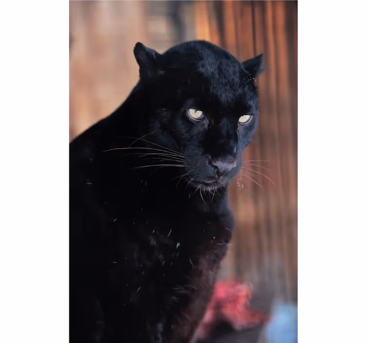 Rolo zavesa za dnevno sobo leopardji napad - TenStickers