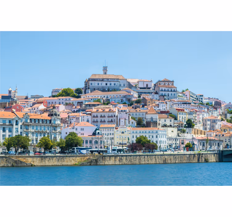 Rolo zavesa za dnevno sobo coimbra - TenStickers
