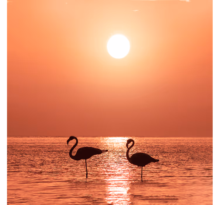 Rolo zavesa za dnevno sobo s flamingom ob sončnem zahodu - TenStickers