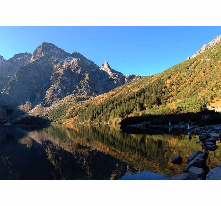 Zeleno rolo zaveso morsko oko in pomlad - TenStickers