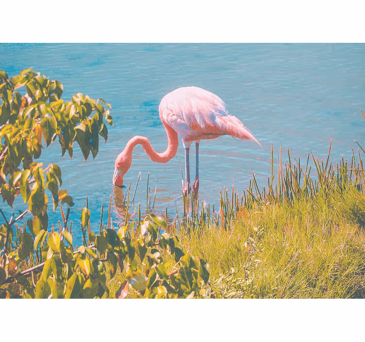 Rolo zavesa za dnevno sobo čudovit flamingo ob vodi - TenStickers