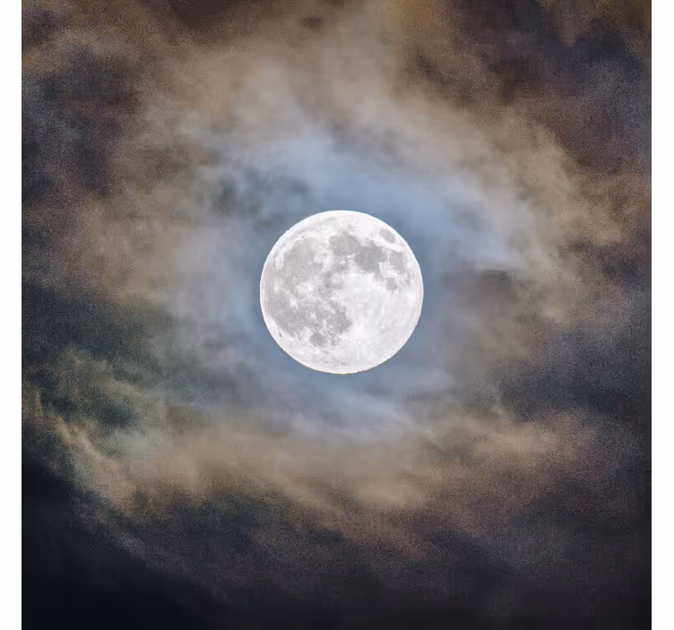 Rolo zavesa za dnevno sobo noč polne lune - TenStickers