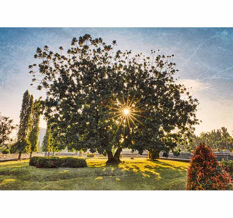 Rolo zavesa za dnevno sobo sončni poletni zeleni park - TenStickers