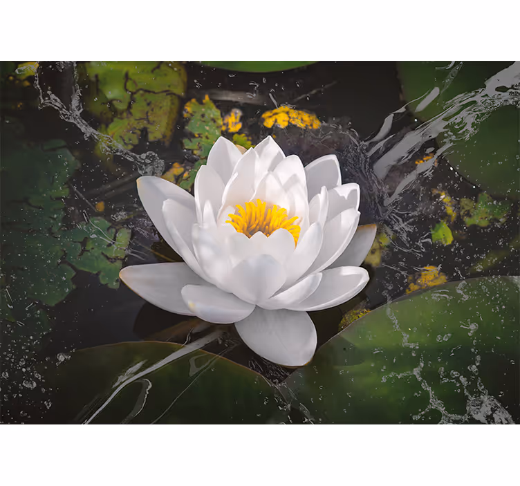 Rolo zavesa za spalnico bela in rumena lotus - TenStickers