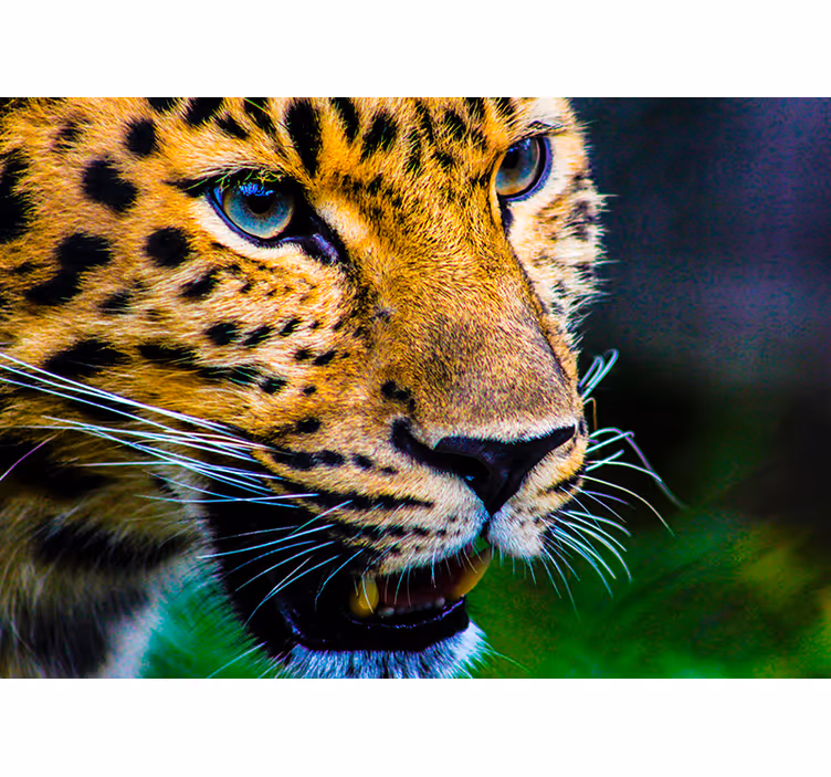 Rolo zavesa za spalnico obraz leoparda - TenStickers