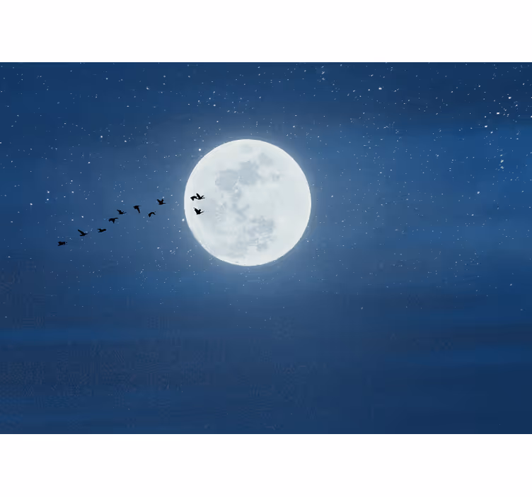Rolo zavesa za dnevno sobo polna luna in nebo - TenStickers