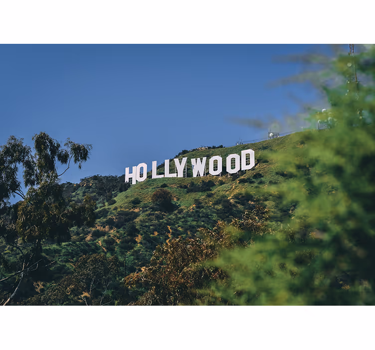 Rolo zavesa za spalnico hollywood znak - TenStickers