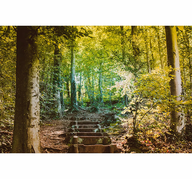Rolo zavesa za dnevno sobo pot z stopnicami - TenStickers