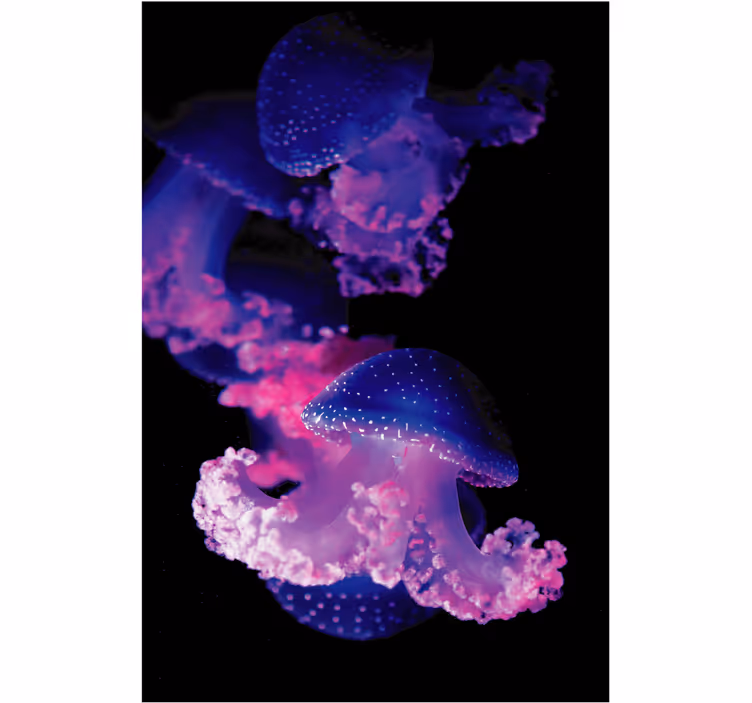 Rolo zavesa za kopalnico vijolična meduza - TenStickers