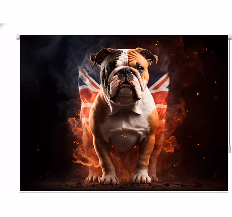 Rolo zavesa za najstnika britanski buldog v ognju - TenStickers
