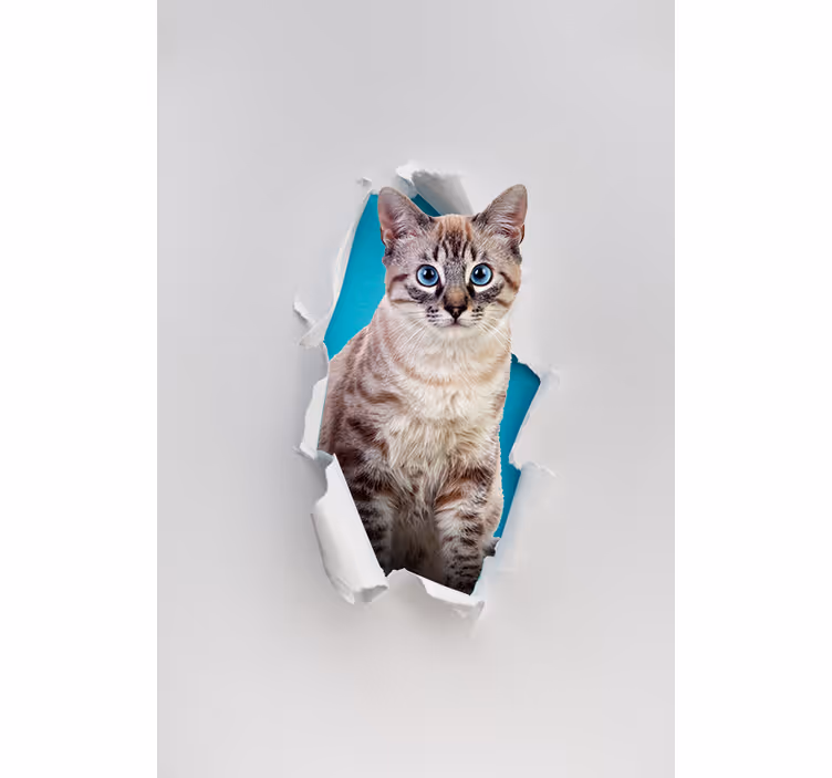 Mačka različne živalske rolete - TenStickers