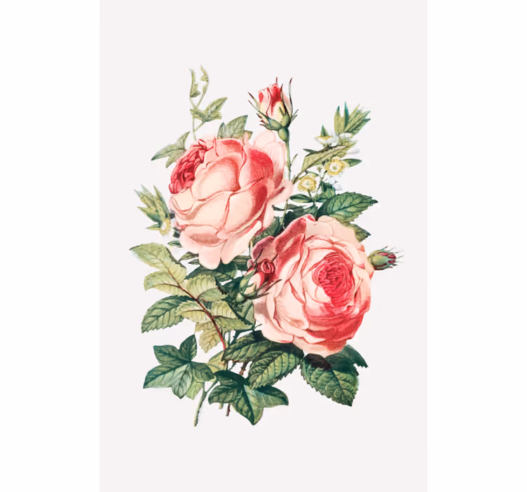 Romantic rose blooms cvetje in rastline v senci - TenStickers