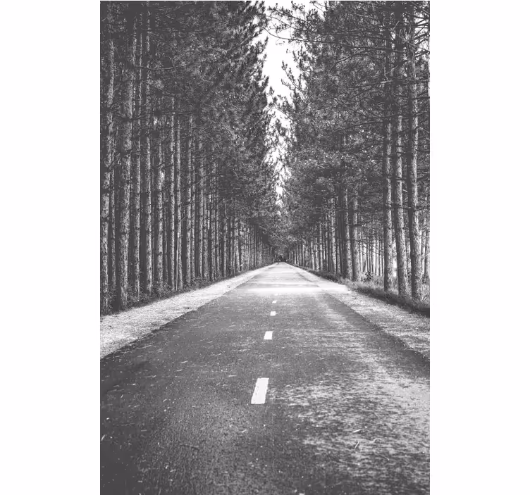 Serene forest path senčilo - TenStickers