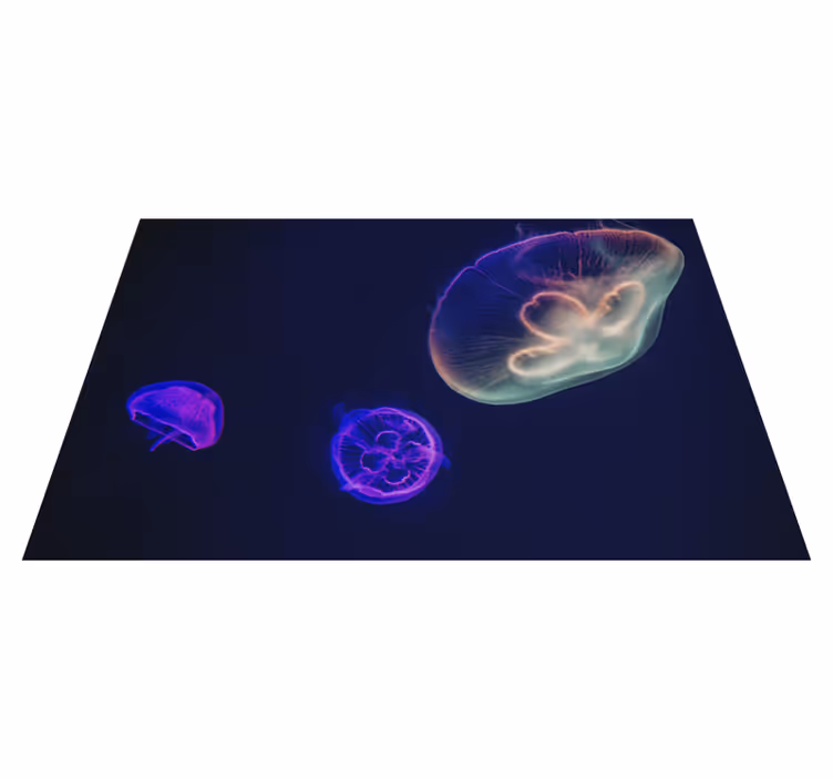 Raznobarvni meduze rib ribe - TenStickers