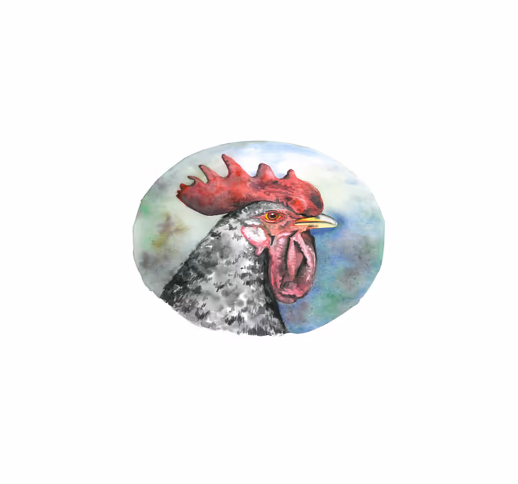 Colorful rooster portrait izvirna jedilna podloga - TenStickers