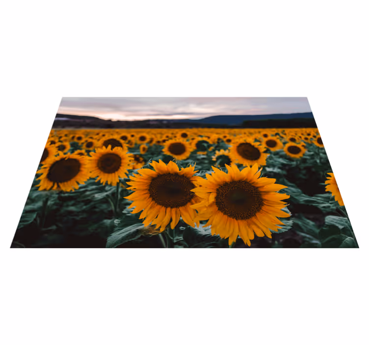 Sunflower field view izvirna jedilna podloga - TenStickers