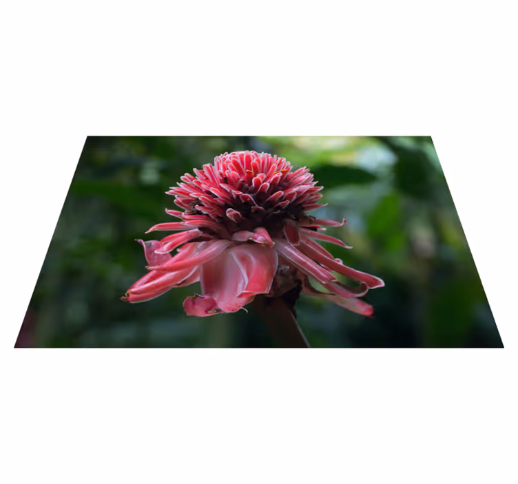 Tropical floral arrangement izvirna jedilna podloga - TenStickers