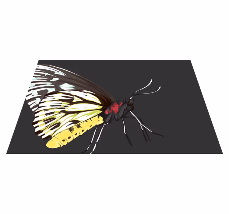 Colorful butterfly illustration izvirna jedilna podloga - TenStickers