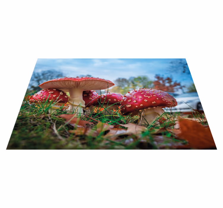 Mushroom culinary scene sodobno postrežbo - TenStickers