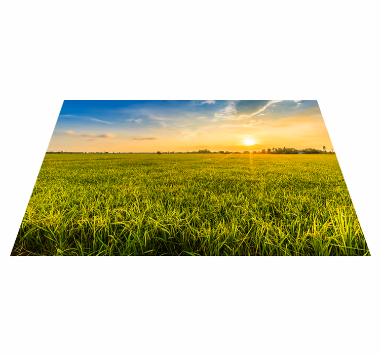 Sunset rice field pogrinjek z imenom - TenStickers