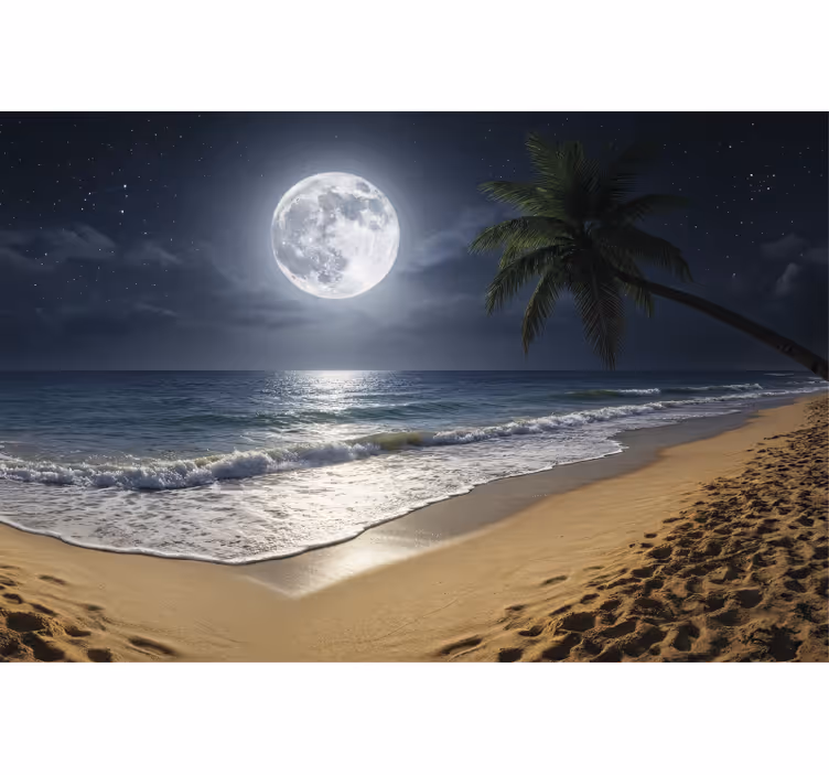 Full moon ocean fototapete z morjem - TenStickers