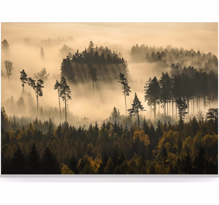 Ethereal morning mist fototapeta gozd - TenStickers