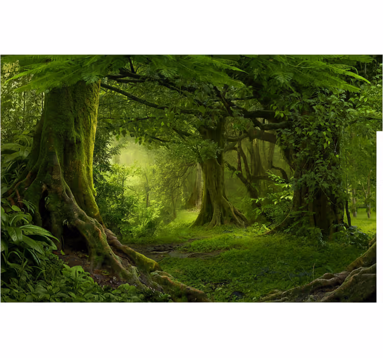 Lush woodland escape fototapeta gozd - TenStickers