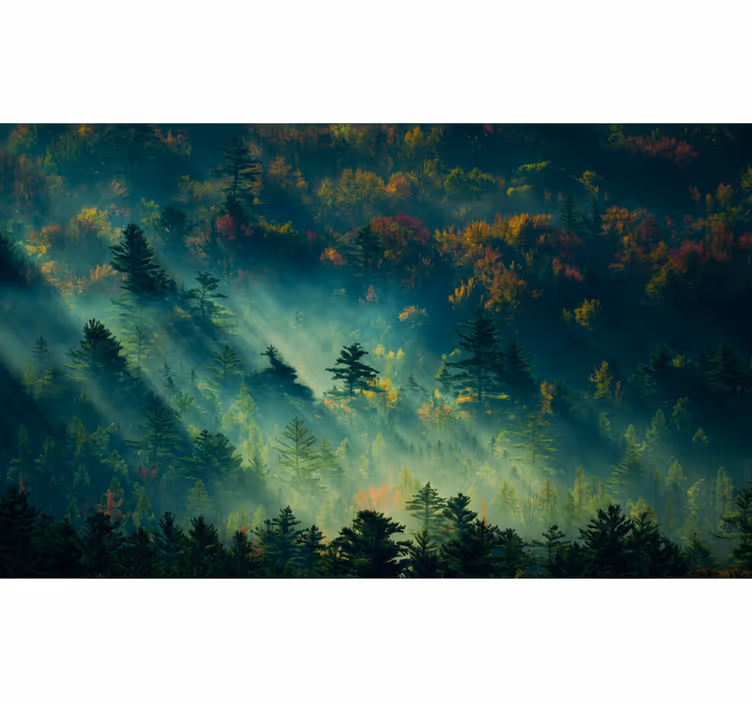 The moody forest fototapeta gozd - TenStickers