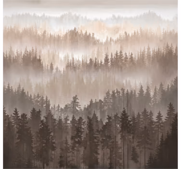 Wooden forest layers stenske poslikave - TenStickers
