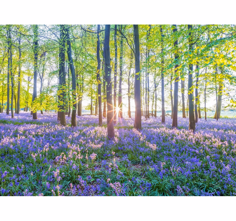 Nature-inspired modernism fototapeta gozd - TenStickers