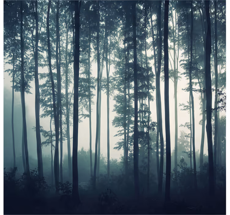 Painted forest zen fototapeta gozd - TenStickers