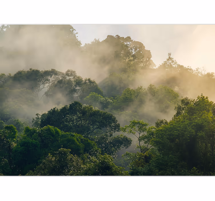 Lush jungle canopy fototapeta gozd - TenStickers