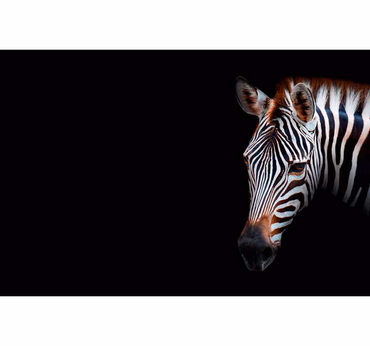 Afriško oblikovanje fototapeta zebra slika - TenStickers