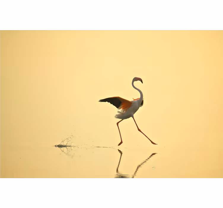 Rumena fototapeta smešni flamingi v teku - TenStickers