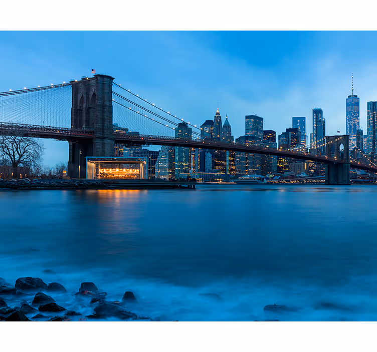 Manhattan ogled zidnega stena new yorka - TenStickers