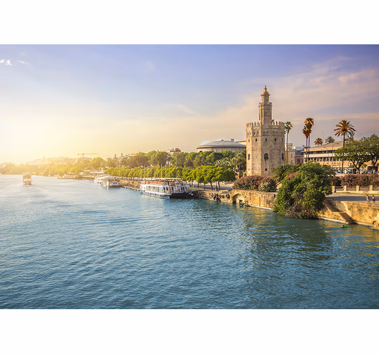 Stenski stenski zidni zid reke seville - TenStickers