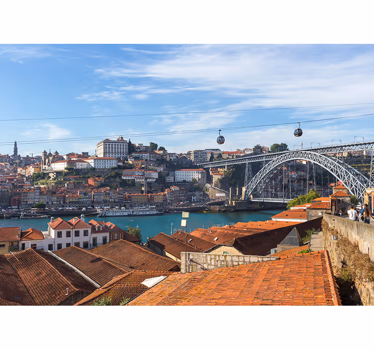 Stenski zidni fototapeta porto panorama - TenStickers