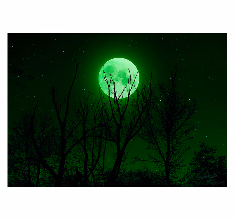 Fototapeta z fantastičnimi motivi luna v melodijah - TenStickers