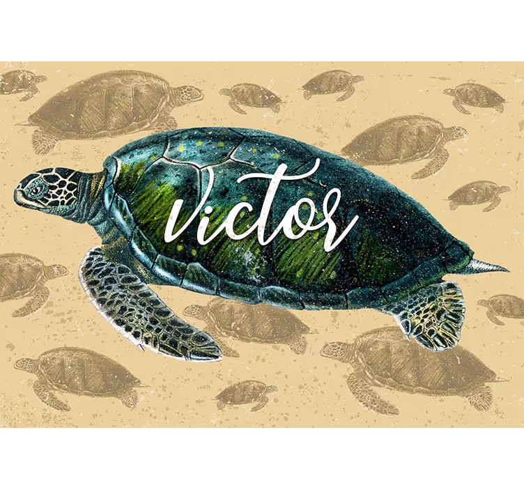 Sea turtle adventure fototapete z živalmi - TenStickers