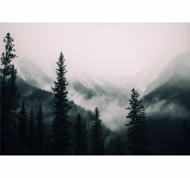 Meglena gorska pokrajina Fototapeta Gozd - TenStickers