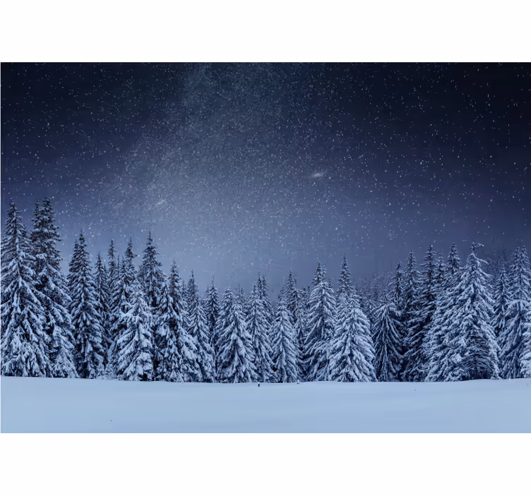 Zasnežena borova pokrajina Fototapete Narava - TenStickers