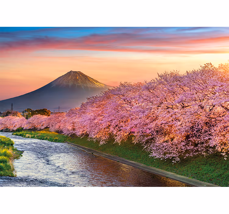 Cvetovi češenj na gori fuji Stenske poslikave - TenStickers